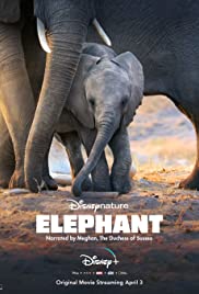 Elephant (2020)