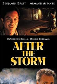 After the Storm (2001)