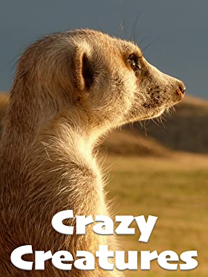 Crazy Creatures (2018)