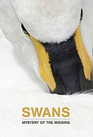 Watch Full Movie :Swans Mystery of the Missing (2019)