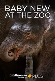 Watch Full Movie :Baby New at the Zoo (2007)