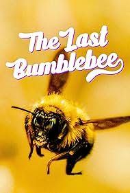 The Last Bumblebee (2024)