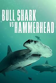 Watch Full Movie :Bull Shark Vs Hammerhead (2023)