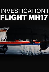 Mh17 The Plane Crash That Shook The World (2024)