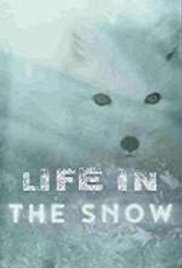 Life in the Snow (2016)