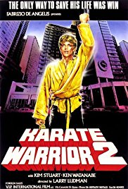 Karate Warrior 2 (1988)