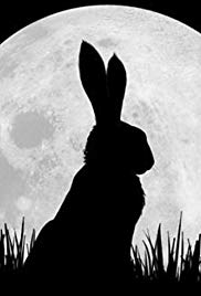 Watership Down (2018 )