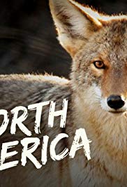 Watch Full Movie :North America (2013 )