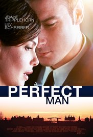 Watch Full Movie :A Perfect Man (2013)